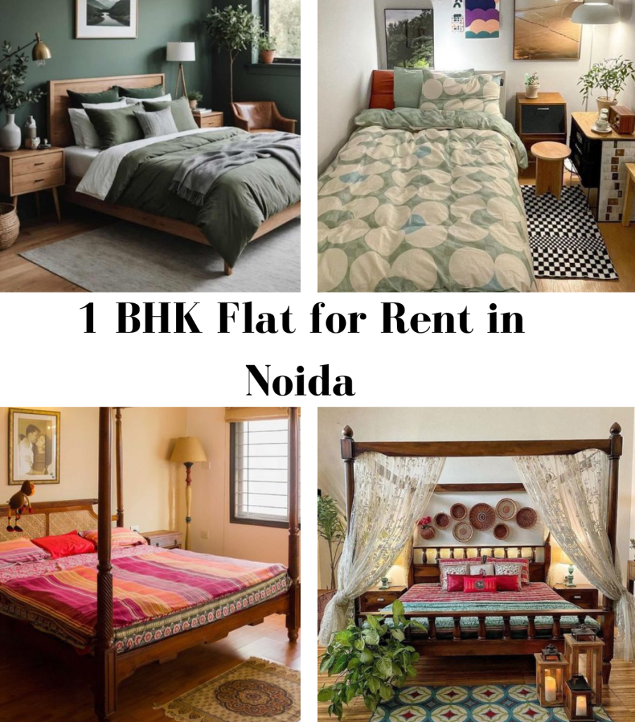 1 BHK Flat for Rent in Noida
