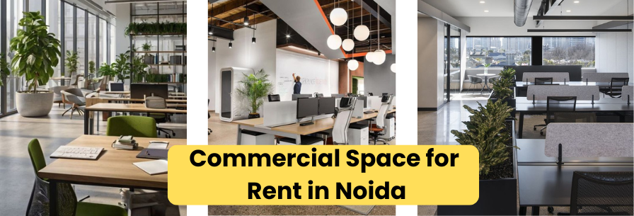 Commercial Space for Rent in Noida