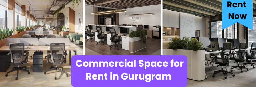 Commercial Space for Rent in Gurugram