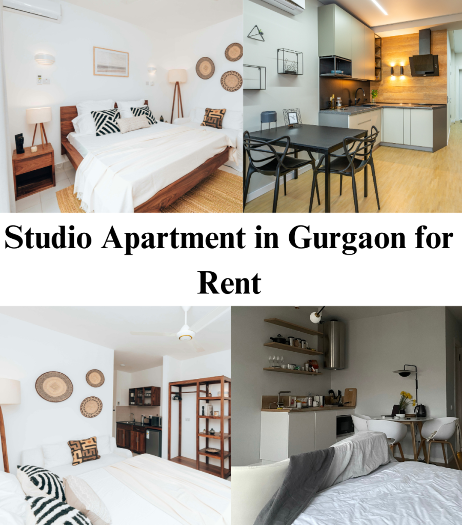 Studio Apartment in Gurgaon for Rent