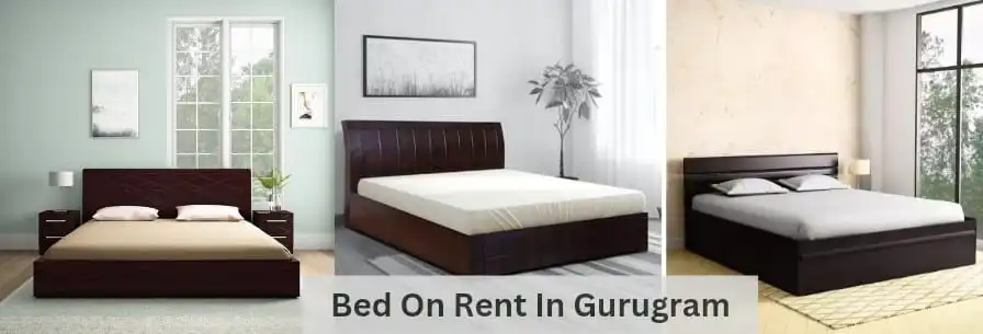 bed on rent in gurugram