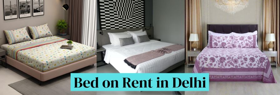 Bed on Rent in Delhi