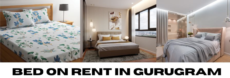 Bed on Rent in Gurugram