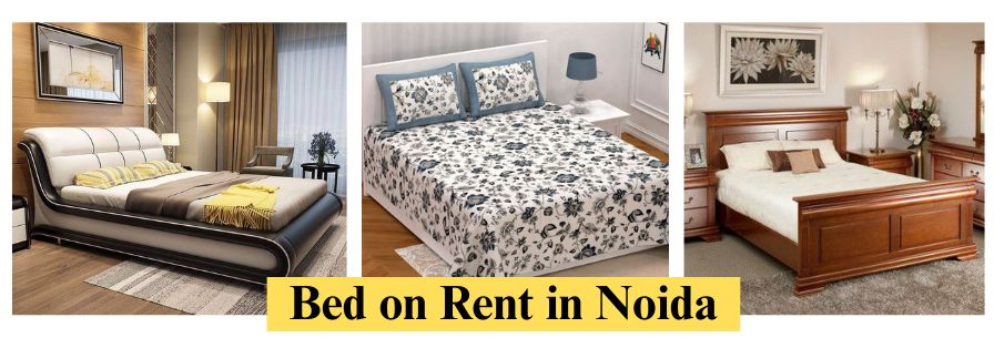 Bed on Rent in Noida