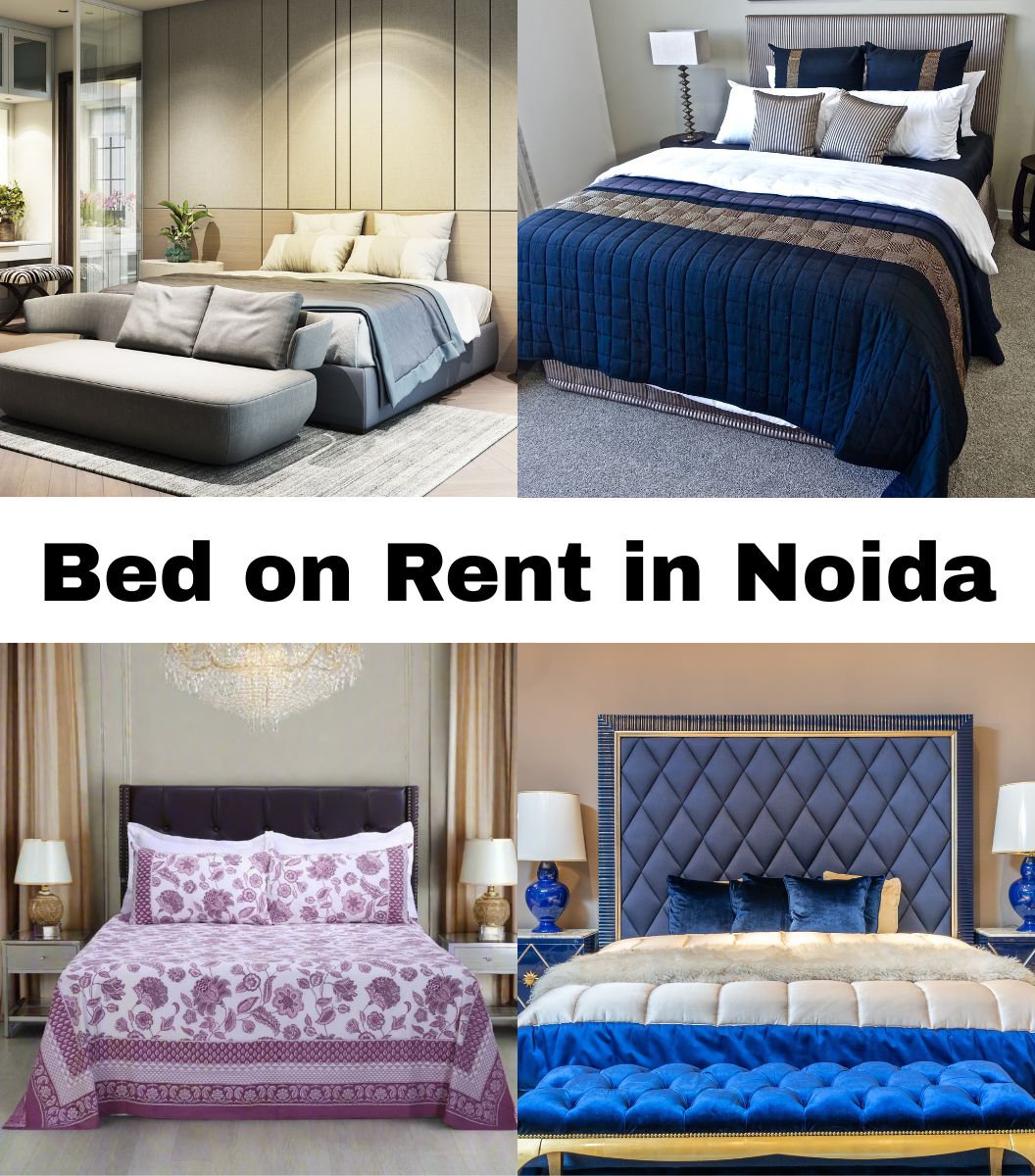 Top and Best Bed on Rent in Noida – Rentsewa Blog